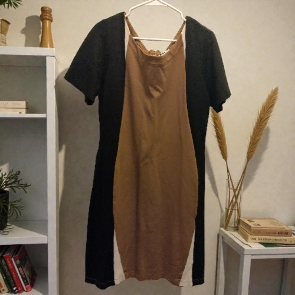 Elegant Black and Tan Colorblock Mini Dress